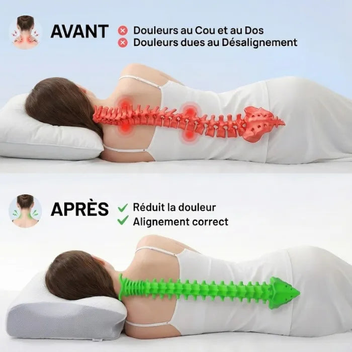 Oreiller Orthopédique Cervical